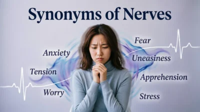 Synonyms of Nerves