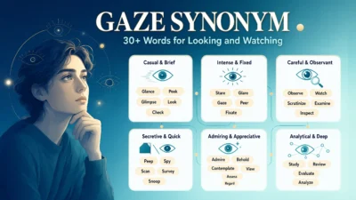 Synonyms for Gaze
