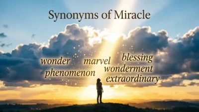 Synonyms of Miracle